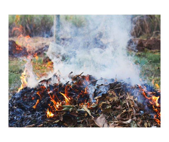 Combustione residui vegetali da attività forestale